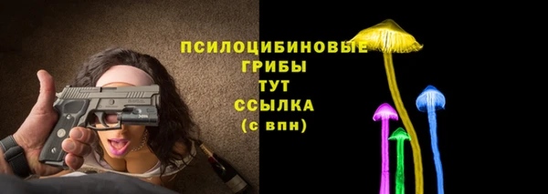гидра Алзамай