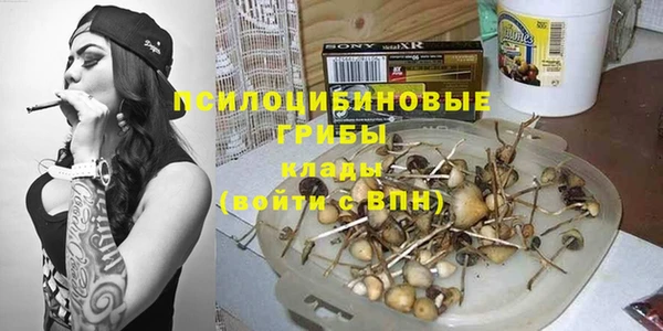 гидра Алексин