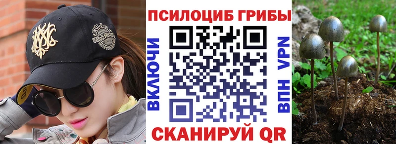 Псилоцибиновые грибы Psilocybe Наволоки
